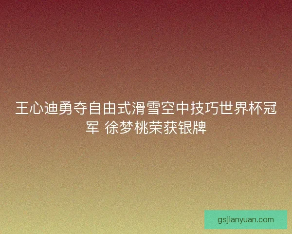 王心迪勇夺自由式滑雪空中技巧世界杯冠军 徐梦桃荣获银牌
