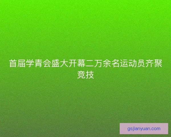 首届学青会盛大开幕二万余名运动员齐聚竞技